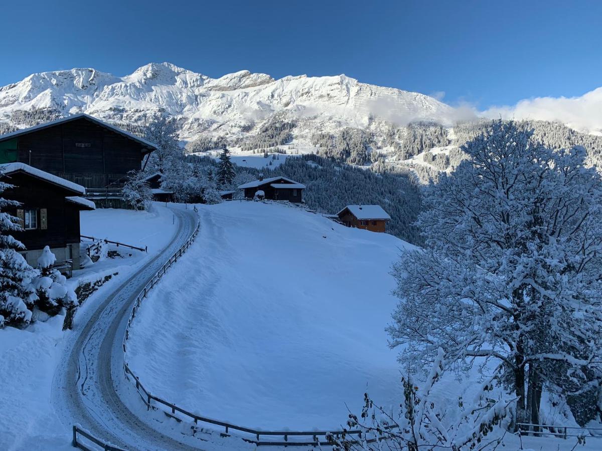 Chalet Schiltwald Innerwengen Ngoại thất bức ảnh