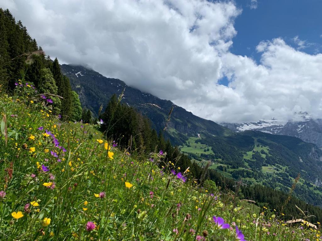 Chalet Schiltwald Innerwengen Ngoại thất bức ảnh