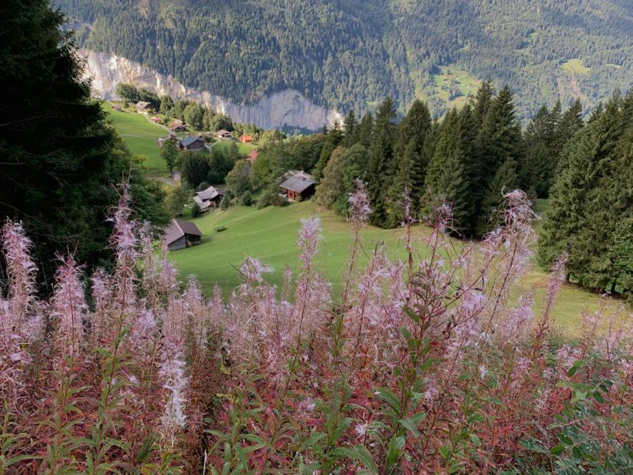 Chalet Schiltwald Innerwengen Ngoại thất bức ảnh