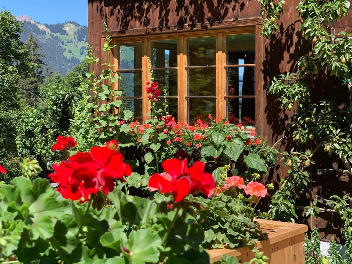 Chalet Schiltwald Innerwengen Ngoại thất bức ảnh