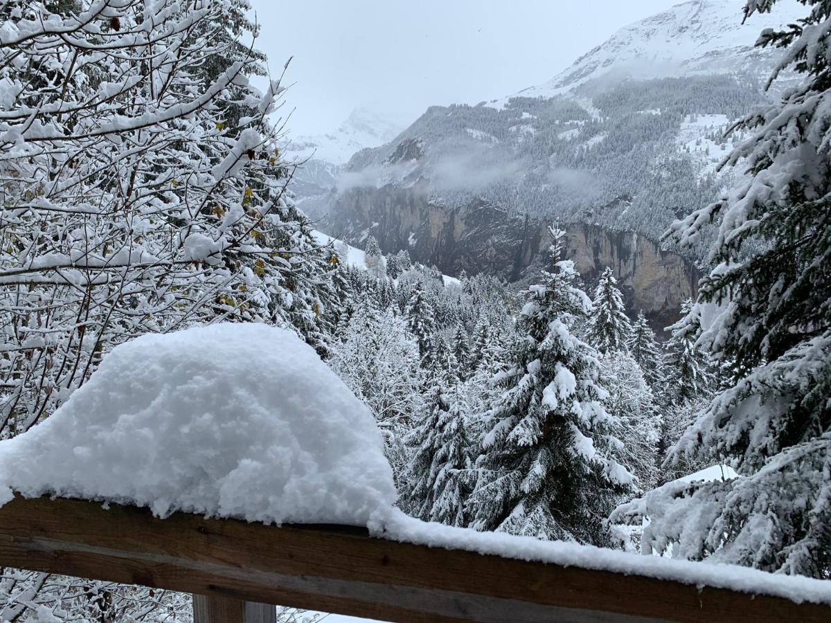 Chalet Schiltwald Innerwengen Ngoại thất bức ảnh