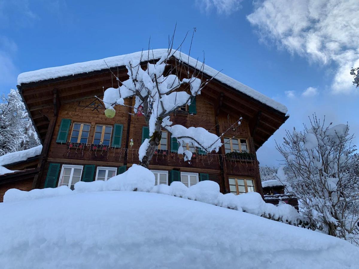 Chalet Schiltwald Innerwengen Ngoại thất bức ảnh