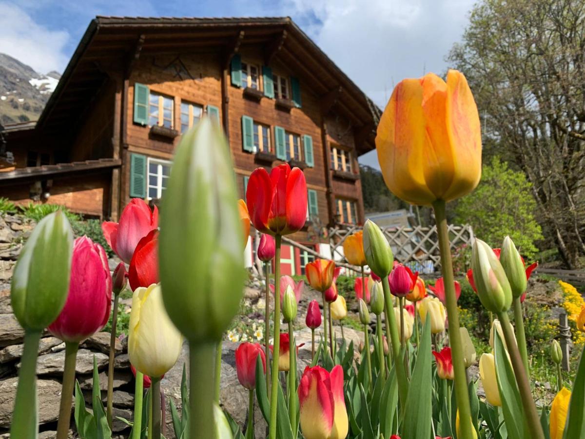 Chalet Schiltwald Innerwengen Ngoại thất bức ảnh
